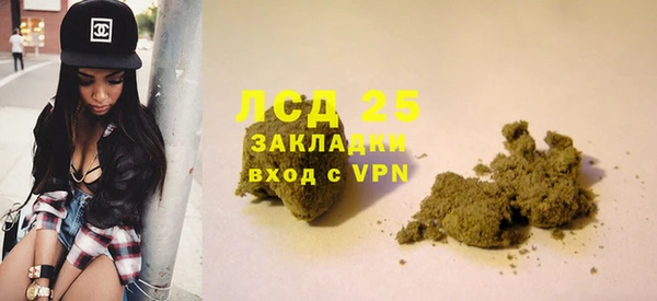 ПСИЛОЦИБИНОВЫЕ ГРИБЫ Арсеньев