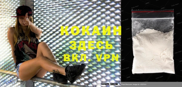 индика Долгопрудный