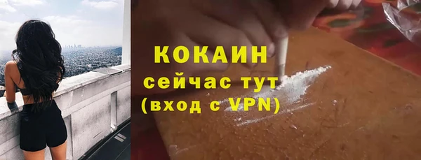 ПСИЛОЦИБИНОВЫЕ ГРИБЫ Арсеньев