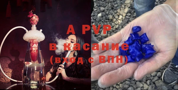 ПСИЛОЦИБИНОВЫЕ ГРИБЫ Арсеньев