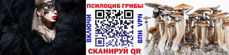 darknet телеграм  Бабушкин  Галлюциногенные грибы прущие грибы  купить наркоту  ссылка на мегу онион 
