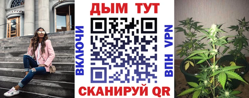 Шишки марихуана THC 21%  Бабушкин 